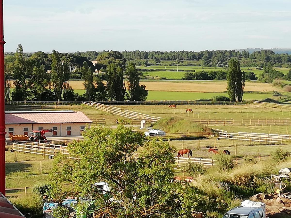 Domaine De La Vidalle Vendres Kültér fotó
